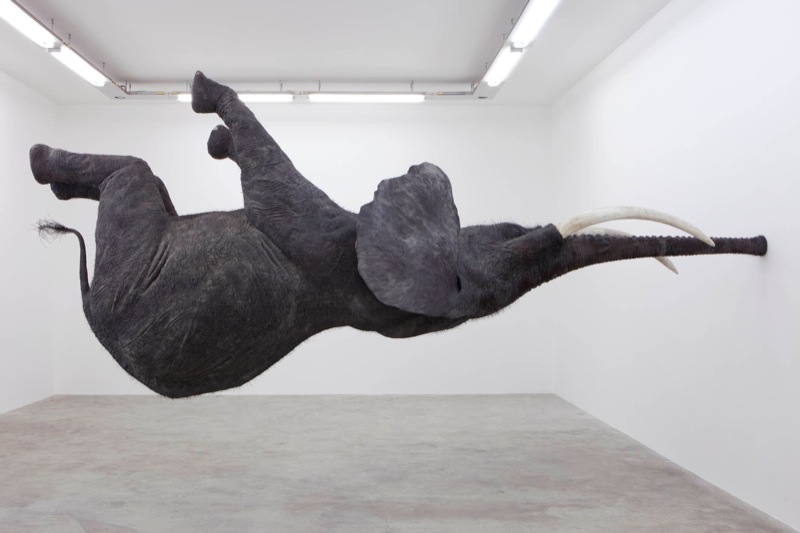 Daniel Firman’s gravity-defying elephants