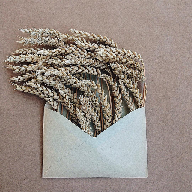 Flowers in vintage envelopes by Anna Remarchuk