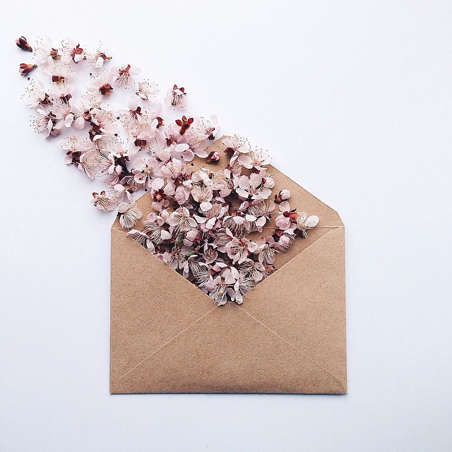 Flowers in vintage envelopes by Anna Remarchuk