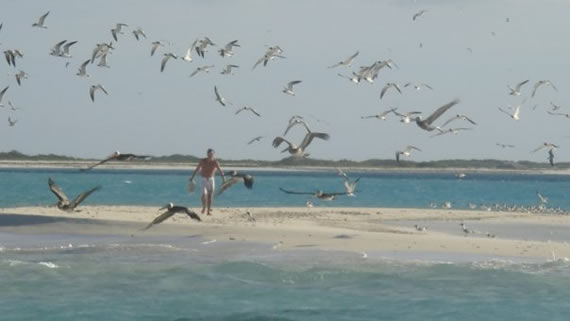 crasqui Los Roques