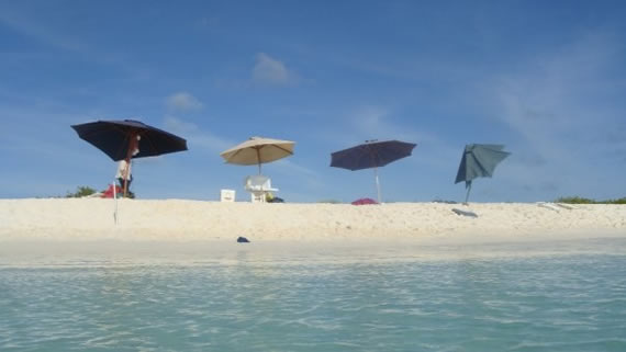 paraiso los roques