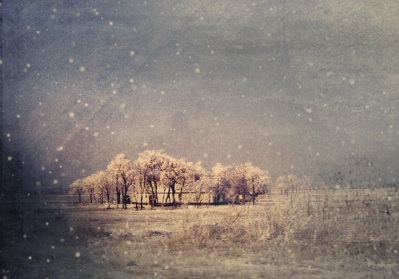 Winter season Winter photo